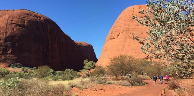 Desert scrub and pale grass at the foot of two Kata Tjuta domes