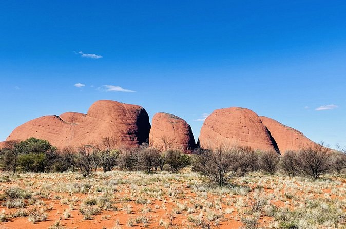 The domes of Kata Tjuta rising from the spinifex plain under a clear sky