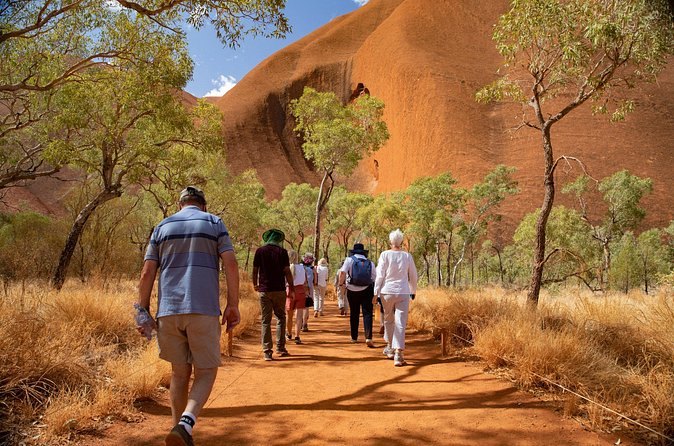 A walking track through desert oak woodland with red rock ahead