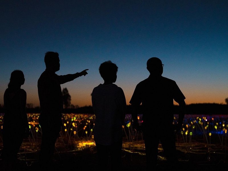 The Field of Light installation glowing across the desert at dusk