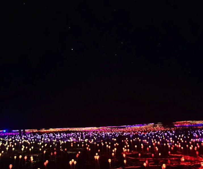 The Field of Light installation lit across the desert after dark