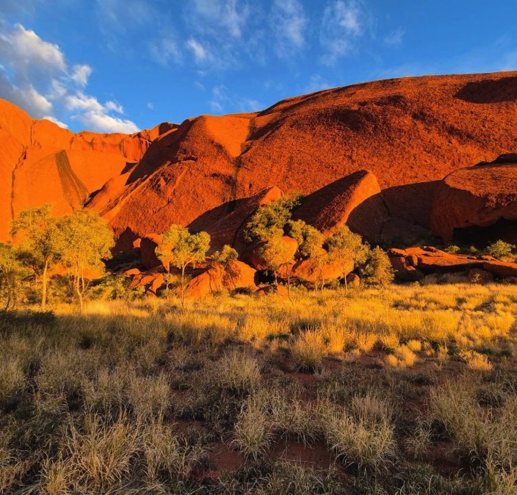 The ribbed flank of Uluru lit orange by late afternoon sun