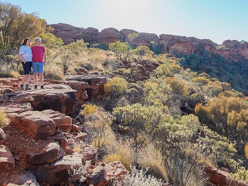 The uneven ridgeline of Kata Tjuta seen across spinifex country