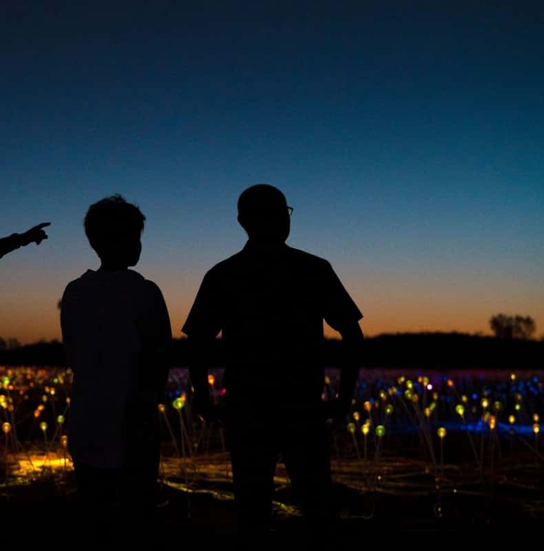 Uluru: Field of Light Sunrise Tour with Hot Drinks