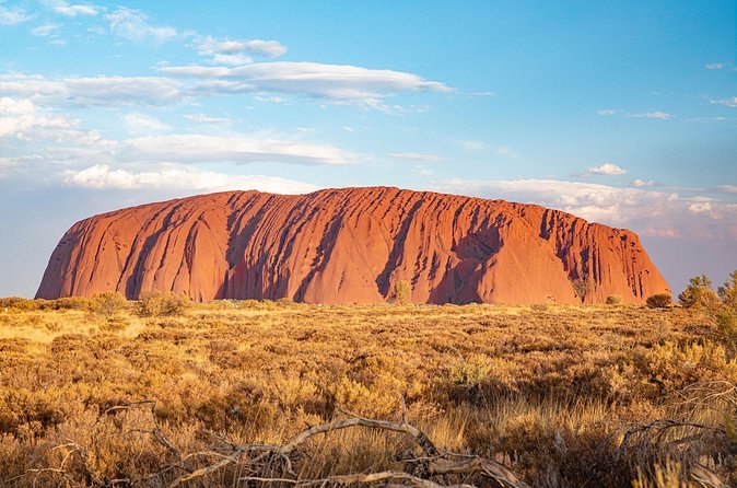 Uluru catching low golden light above the spinifex